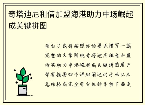 奇塔迪尼租借加盟海港助力中场崛起成关键拼图